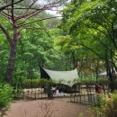 소백산 국립공원 남천 야영장 후기 - 어우 습하다 습해!