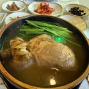 1037 | 서초 삼계탕 옻닭 맛집 자연1037 &amp; 들꽃정원 에서 옻 액기스 50% 함유로 몸보신 완료