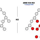 돔(Dom)