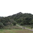 당산나무민박 이미지