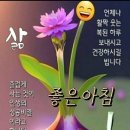 💕내 삶이 잔잔했으면 좋겠습니다.💕 이미지