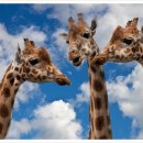 능인고등학교 이미지