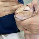 송정동물메디컬센터 이미지