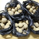 청종농장 이미지