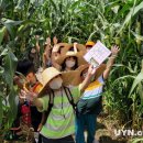 수미유치원 이미지