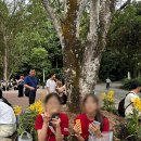 [북부] (야간)영어회화 초급 | 초등 영어캠프 MNK 여름방학 영어캠프 비용 및 교육 정보