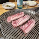 신털보네생고기