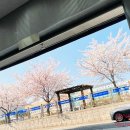 신항점 현대블루핸즈 네이버블로그