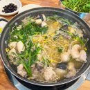 신참면