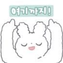 조이온 PC 이미지