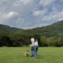 청년다방  충북혁신도시점 | 벌써 9월도 끝..🍃