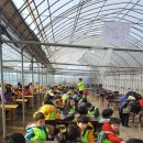 태권농장 이미지