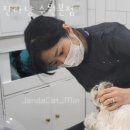 잔다냥 이미지