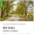 도리 마을회관 | [경기둘레길 여주35코스] 한강문화관에서 시작해 도리마을회관으로 가는 둘레길