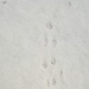 별무리 민박 이미지