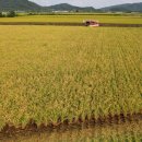 철원군농업기술센터 이미지