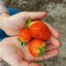 동아대 손승완 태권도장 이미지