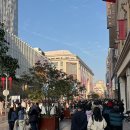 한국지엠북대구서비스센터 | 상하이 여행 2일차 (feat. 리코 GR3X HDF)