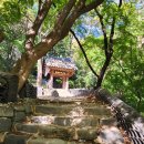 도솔천 | [사찰순례-전북 고창군] 선운사도솔암 지장보살이 계신 도솔천 내원궁 금동지장보살좌상