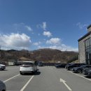 CAFE TREE24(카페트리)