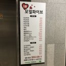 모얼파이브네일샵 | [리뷰] 광주 광산구 미용실 <모얼파이브>에서 두피 클리닉하기