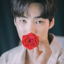 백서후 카카오 검색결과