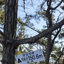 지용산인 티스토리