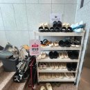 개냥이 | 수원 고양이 카페 실내 놀거리 추천, 냥보고심쿵 캣 카페 다녀온 후기(개냥이들이 상주하고 있어요~!)