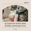 건강부터 | 퓨어프렌즈 ) 고양이 컨디셔닝 미스트 사용 후기, 털 건강부터 피부 관리까지 한 번에!