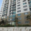 신평 신익강변 이미지