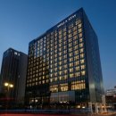 스테이 230 이미지