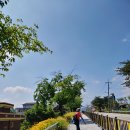 미천6리 이미지