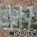 식균농장 이미지