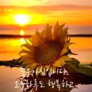 주공아파트 이미지