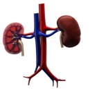 이내과의원 이미지