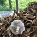 오케이씨농장 이미지