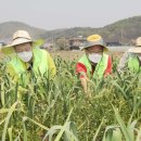 이석용농장 이미지