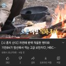 나혼자산다 헨리, 기안 하천 불법 캠핑 및 취사 의혹 이미지