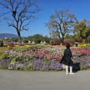 늘풍성한우촌 이미지