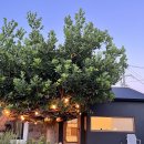 막다른 둥지 이미지