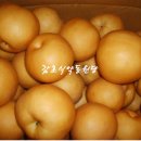 감초당건강원 - 용인시 처인구 성산로169번길 4 | 감초당건강원