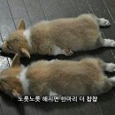 안마원의품격 이미지