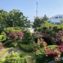 성동학교 이미지