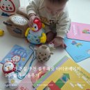 에구구 | 돌아기 전집 추천 블루래빗 아이큐베이비 9주 솔직 사용후기