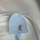 하인츠동물병원 | 녜? 3월이요?