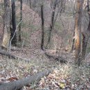 회원동126 이미지