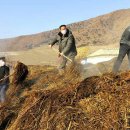 일선농장 이미지