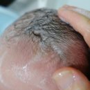 이네이처 | 순해서 괜찮았던 유기네의 베이비바스앤샴푸바이네이처 사용 후기