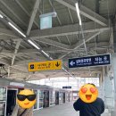 지하철 안심역 | 대구 하양 지하철 개통 첫날 타보다! 부호역 대구한의대병원역 안심역