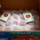 유기농장 이미지